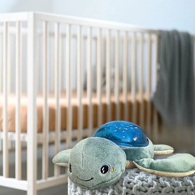 Rechargeable Projector Turtle Aqua Dream – Toytastic Malta
