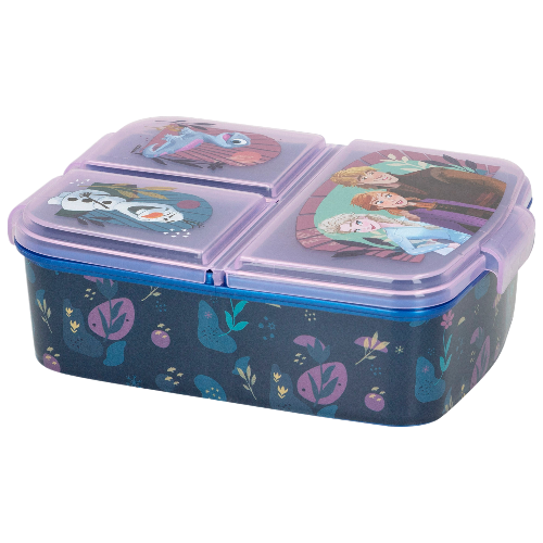 Frozen Plastic Lunch Box