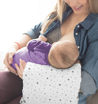 Lansinoh Nursing Breastfeeding Pillow