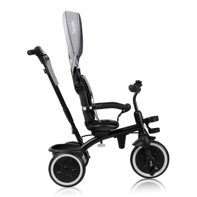 Lionelo Berry Grey/Pink/Green - Lightweight 2in1 Tricycle