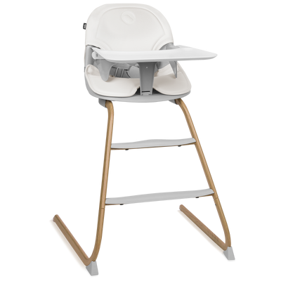 Lionelo Dailia Set 4in1 – High Chair and Rocker