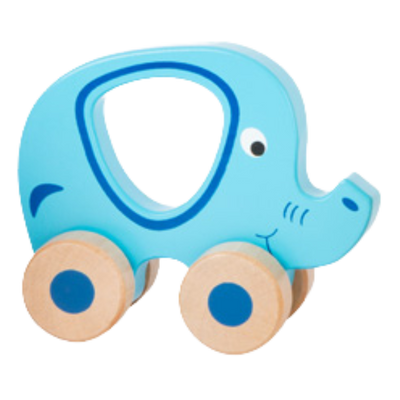 Baby Wooden Push Along Toy