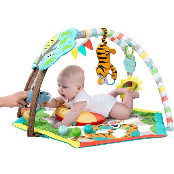 Winnie the best sale pooh play gym